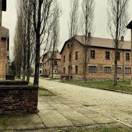 Krakau: privéchauffeur Auschwitz-Birkenau