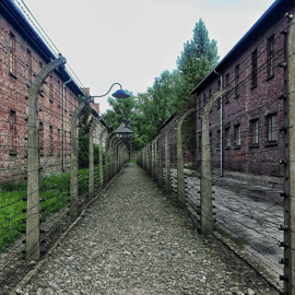 Krakau: Auschwitz-Birkenau Tagestour mit Tourleitung