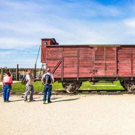 Vanuit Krakau: Auschwitz-Birkenau Tour met Vervoer