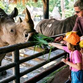Krakau: Dierentuin met ophaalservice vanaf je hotel