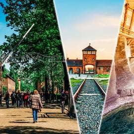 Krakau: Auschwitz & Wieliczka Salzbergwerk Geführte Tagestour