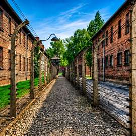 Krakau: Auschwitz-Birkenau rondleiding met hotel transfer