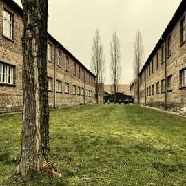 Krakau: privéchauffeur Auschwitz-Birkenau