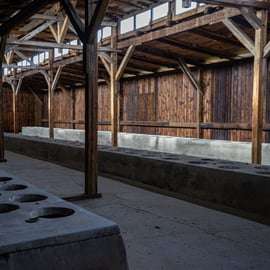 Von Krakau aus: Auschwitz-Birkenau Ganztagestour mit Guide