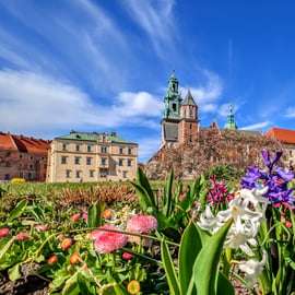 Krakau: Wandeltour Oude Stad & Kasteel Wawel in het Engels