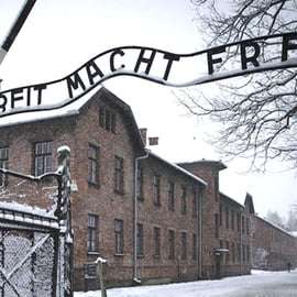 Von Krakau aus: Geführte Auschwitz-Birkenau Tour mit dem Minivan