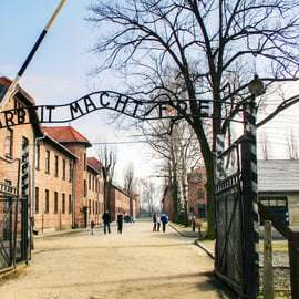 Vanuit Krakau: Auschwitz-Birkenau Tour met Vervoer