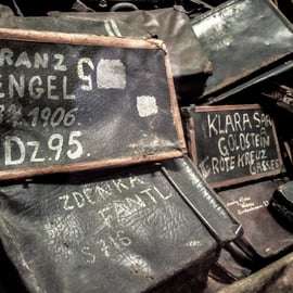 Krakau: Auschwitz-Birkenau Geführte Tour Abholung/Mittagessen Optionen