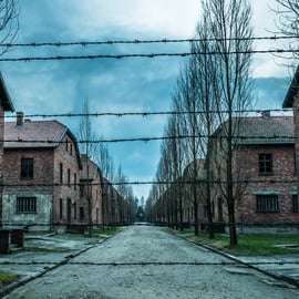 Krakau: Auschwitz-Birkenau & Zoutmijn Dagvullende tour met gids