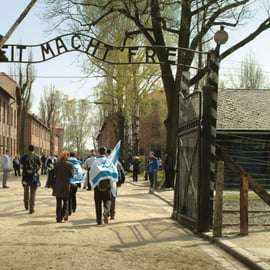 Vanuit Krakau: Auschwitz-Birkenau Herdenkingsplaats en Museum Tour