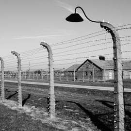 Ab Krakau: Führung durch Auschwitz-Birkenau & Hotelabholung