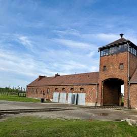 Ab Krakau: Tour nach Auschwitz-Birkenau