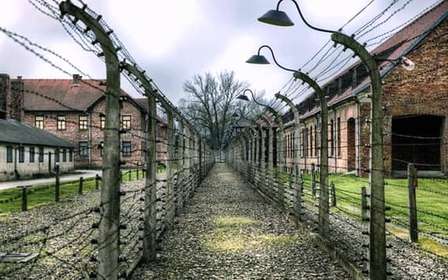 Von Krakau aus: Geführte Auschwitz-Birkenau Tour mit dem Minivan