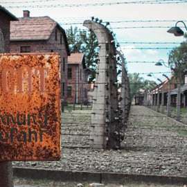 Krakau: Eintritt, Gastgeber und Transfer nach Auschwitz-Birkenau