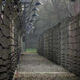 Von Krakau aus: Auschwitz-Birkenau und Salzbergwerk - geführte Tour