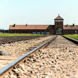 Krakau: Auschwitz-Birkenau Tagestour mit Tourleitung