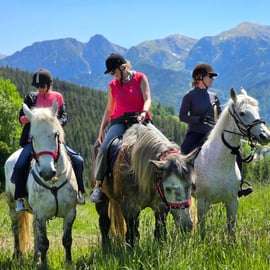 Krakau: Tagestour nach Zakopane mit Pferdeausritt und Thermalbädern