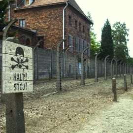 Von Krakau aus: Geführte Auschwitz-Birkenau Tour mit dem Minivan