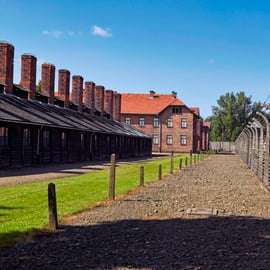 Krakau: Führung durch Auschwitz mit optionalem Mittagessen und Abholung