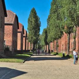 Vanuit Krakau: Auschwitz-Birkenau Herdenkingsplaats en Museum Tour