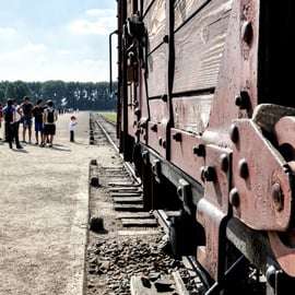 Krakau: Auschwitz-Birkenau Geführte Tour Abholung/Mittagessen Optionen