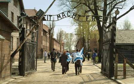 Vanuit Krakau: Auschwitz-Birkenau Herdenkingsplaats en Museum Tour