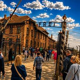 Krakau: Auschwitz-Birkenau rondleiding met vervoer