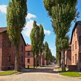 Krakau: Führung durch Auschwitz mit optionalem Mittagessen und Abholung