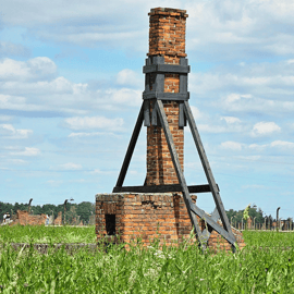 Krakau: Auschwitz-Birkenau Tour Begrenzt auf 15 Besucher