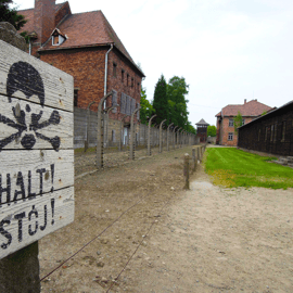 Krakau: Auschwitz-Birkenau Tagestour mit Tourleitung