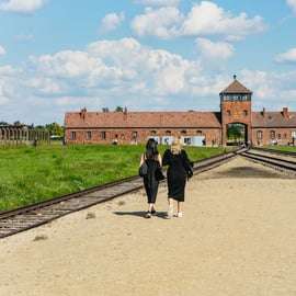 Auschwitz-Birkenau: Skip-the-Line-Eintrittskarte & geführte Tour