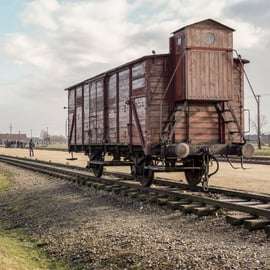 Auschwitz-Birkenau Guided Tour & Transfer von Krakau