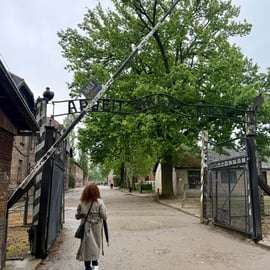 Ab Krakau: Tour nach Auschwitz-Birkenau