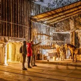 Vanuit Krakau: Wieliczka Zoutmijn rondleiding