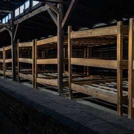 Krakau: Auschwitz-Birkenau Führung mit Transfer