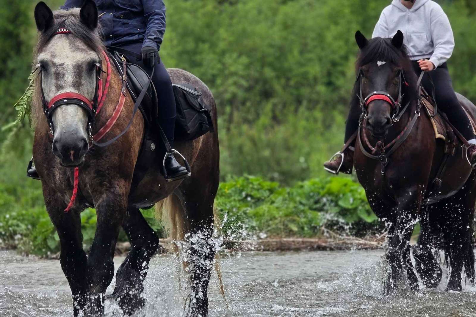 Krakau: Tagestour nach Zakopane mit Pferdeausritt und Thermalbädern