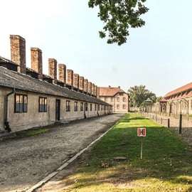 Von Krakau aus: Auschwitz-Birkenau und Salzbergwerk - geführte Tour