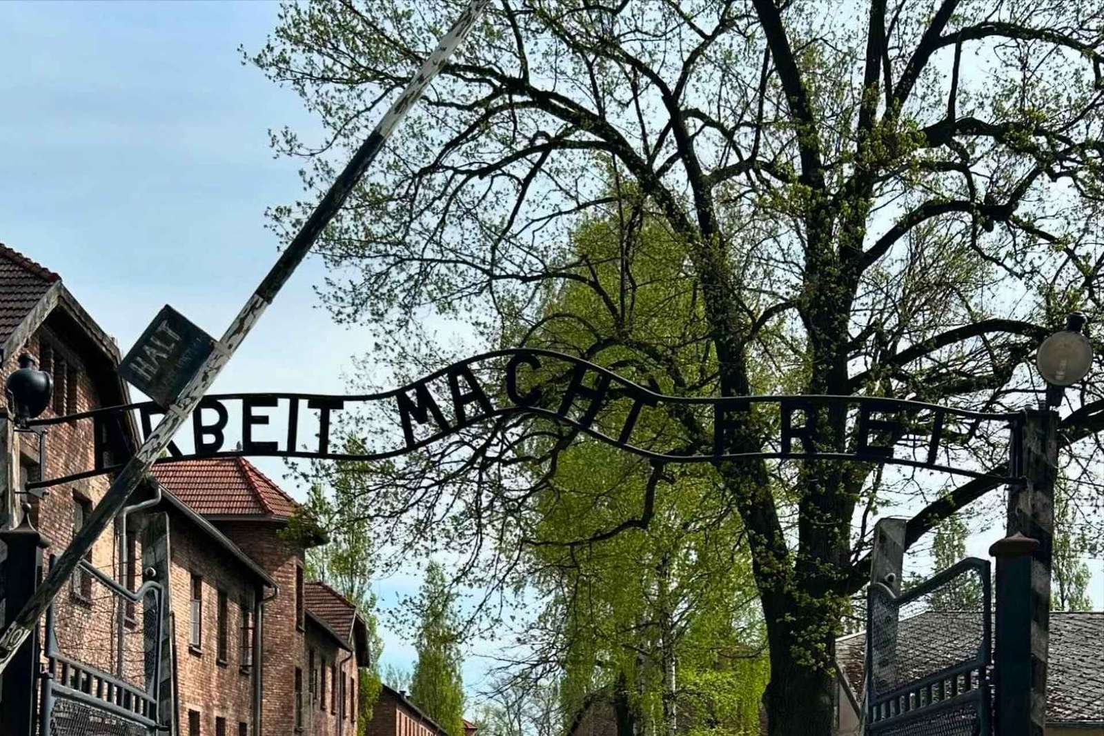 Von Krakau aus: Auschwitz-Birkenau & Wieliczka Salzbergwerk Tour