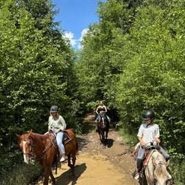 Krakau: Tagestour nach Zakopane mit Pferdeausritt und Thermalbädern
