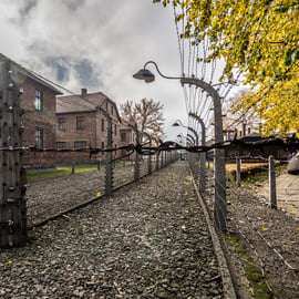 Krakau: Auschwitz-Birkenau & Zoutmijn Dagvullende tour met gids