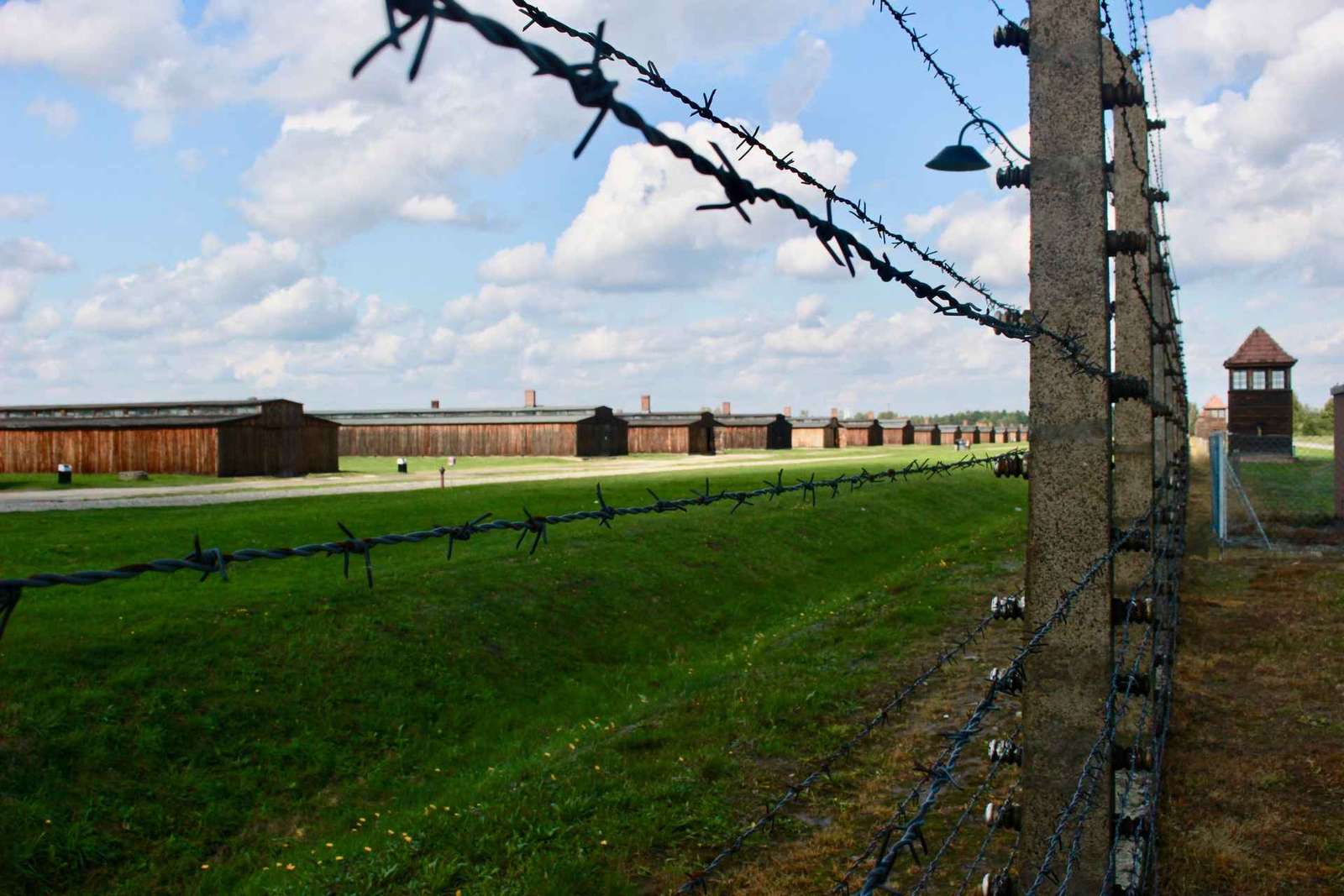 Auschwitz-Birkenau: Rondleiding met gids - Ticket + Vervoer