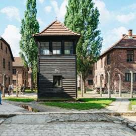 Von Krakau aus: Auschwitz-Birkenau Geführte Tour & Abholoptionen