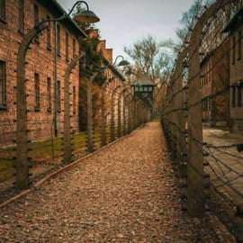 Auschwitz-Birkenau-Tour mit offiziellem Guide & Abholung