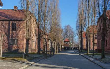 Krakau: Auschwitz-Birkenau Entry Ticket und Transfer