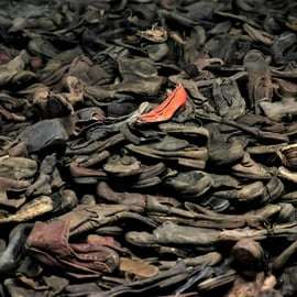 Auschwitz-Birkenau-Tour mit offiziellem Guide & Abholung