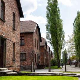 Krakau: Führung durch Auschwitz-Birkenau