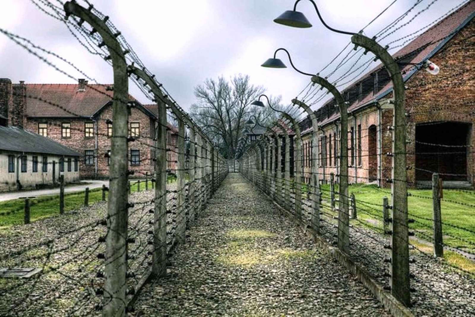 Von Krakau aus: Geführte Auschwitz-Birkenau Tour mit dem Minivan
