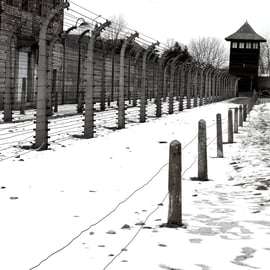 Krakau: privéchauffeur Auschwitz-Birkenau