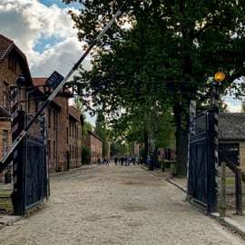 Vanuit Krakau: Auschwitz-Birkenau Herdenkingsplaats en Museum Tour