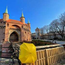 Krakau: Wandeltour Oude Stad & Kasteel Wawel in het Engels